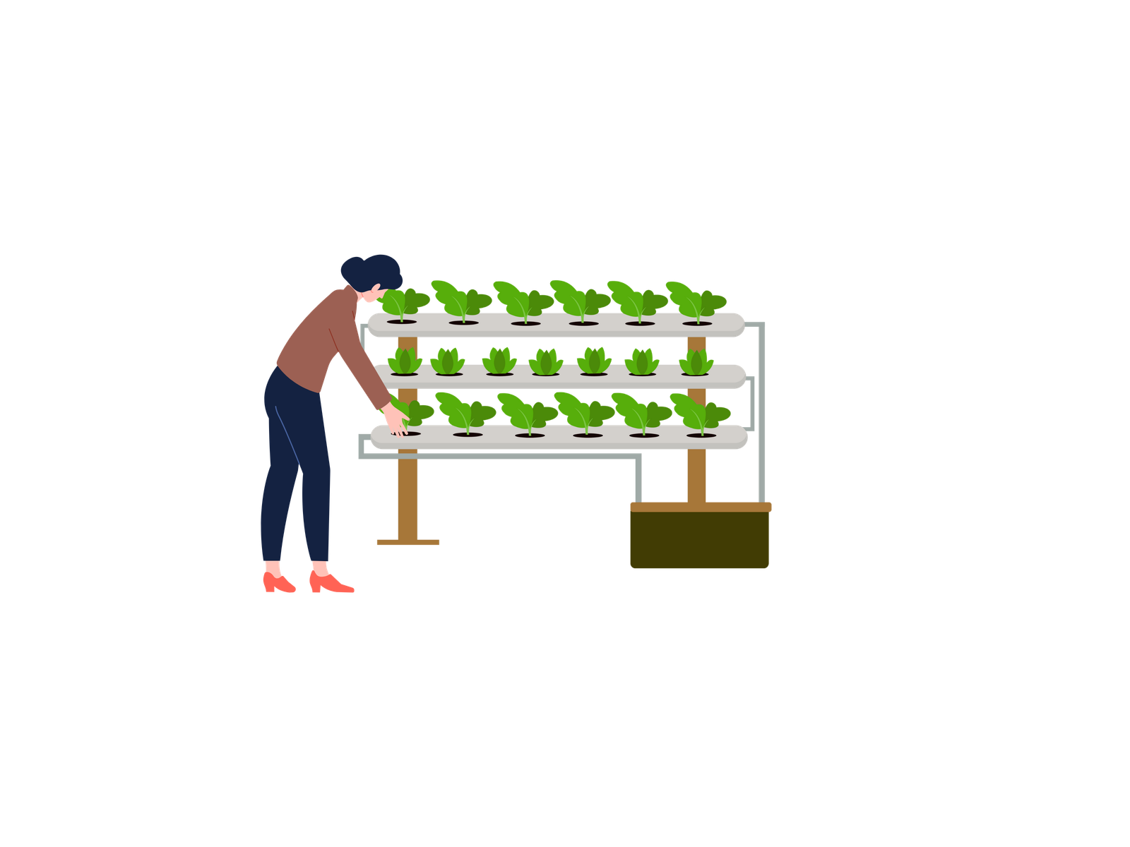 Ilustración del sistema