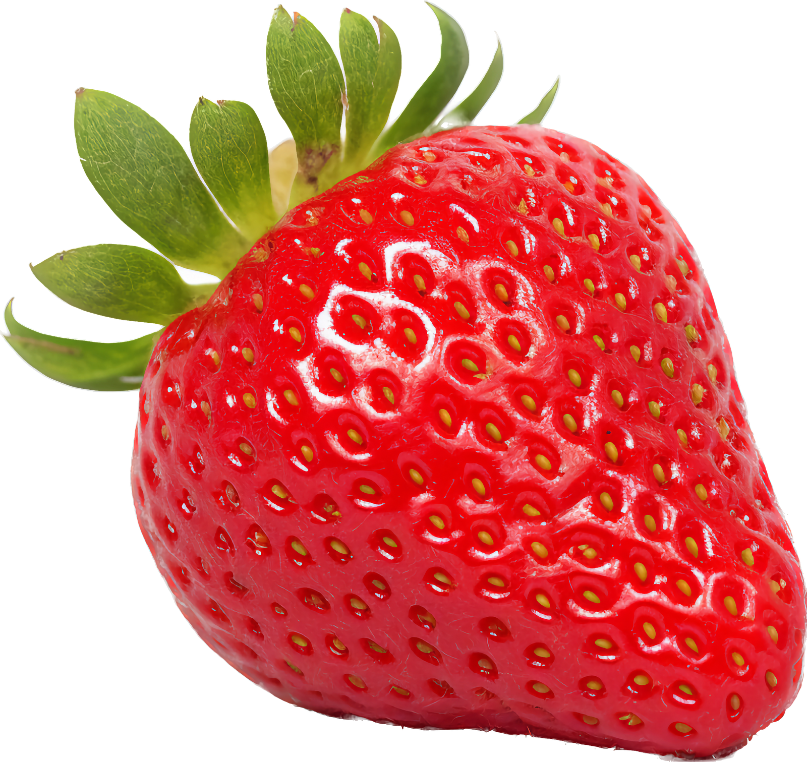 Fresa